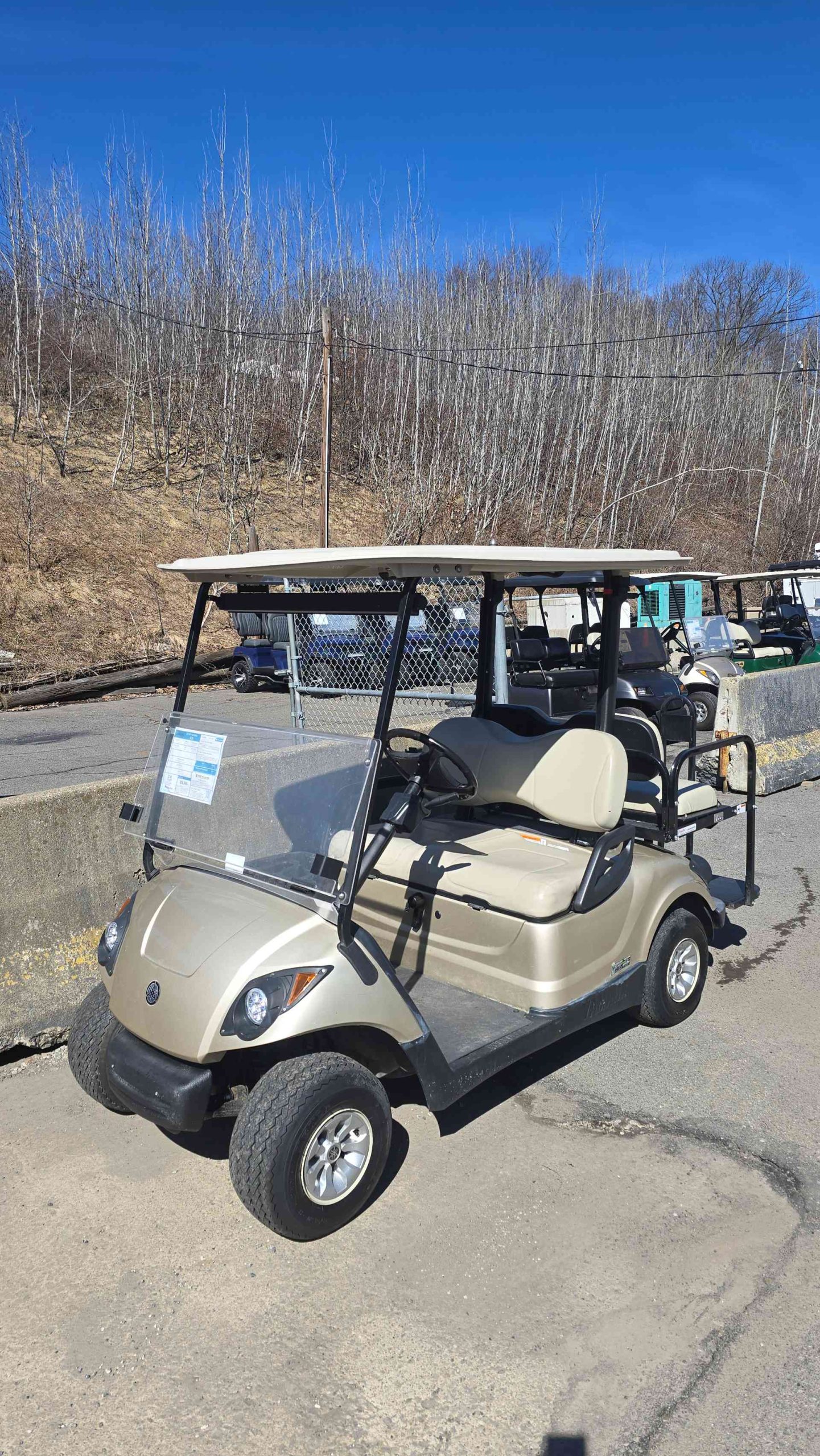 Yamaha® G29 Champagne in Scranton, PA