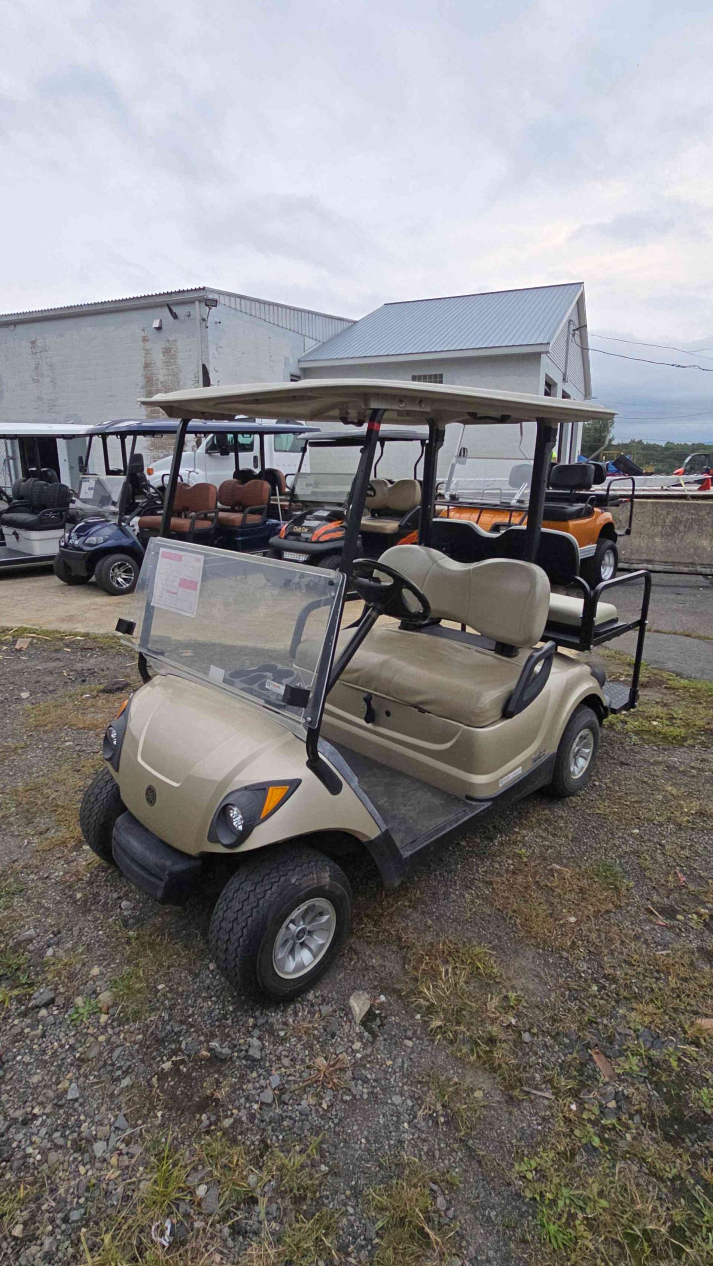 Yamaha® G29 Champane in Scranton, PA