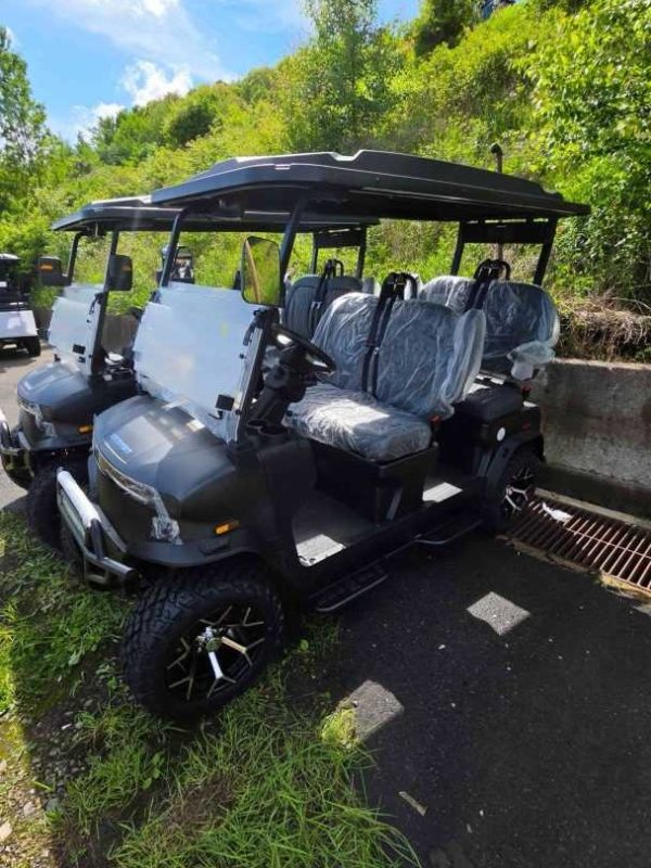 Denago® Rover Xl Matte Black in Scranton, PA