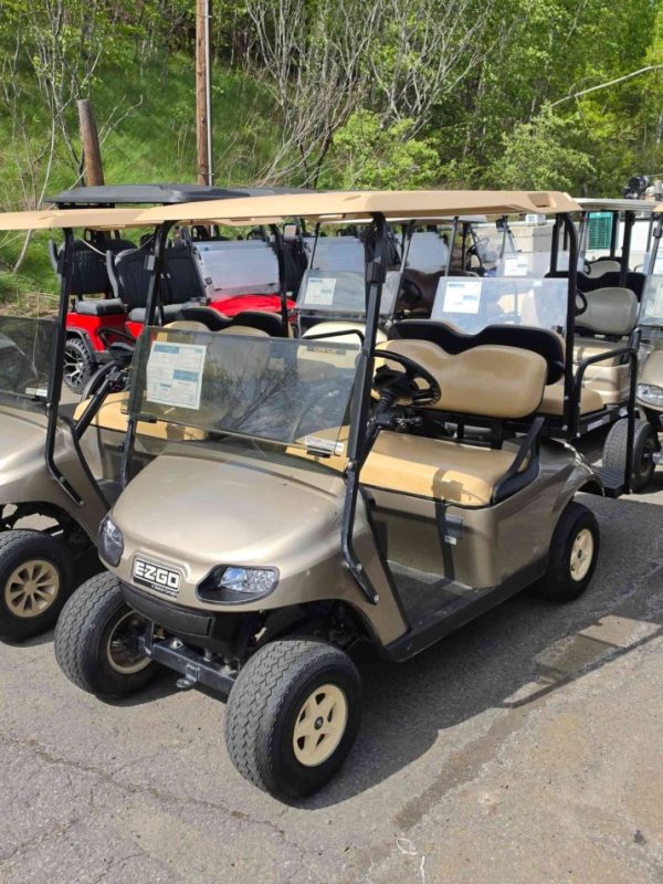 Ezgo® Txt Champane in Scranton, PA